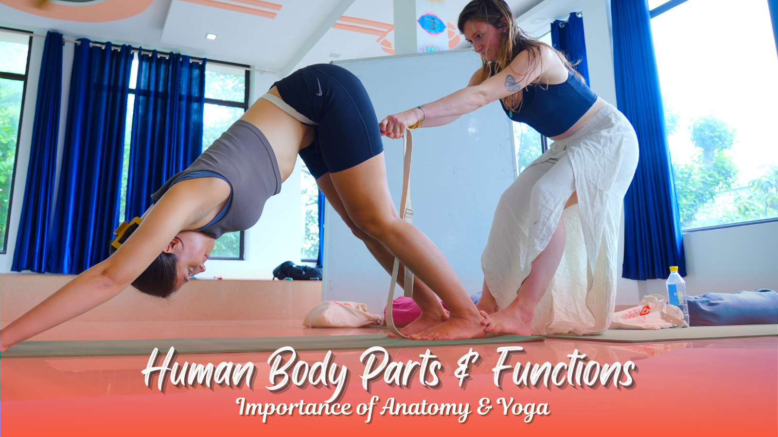 Human Body Parts & Functions and Importance of Anatomy & Yoga