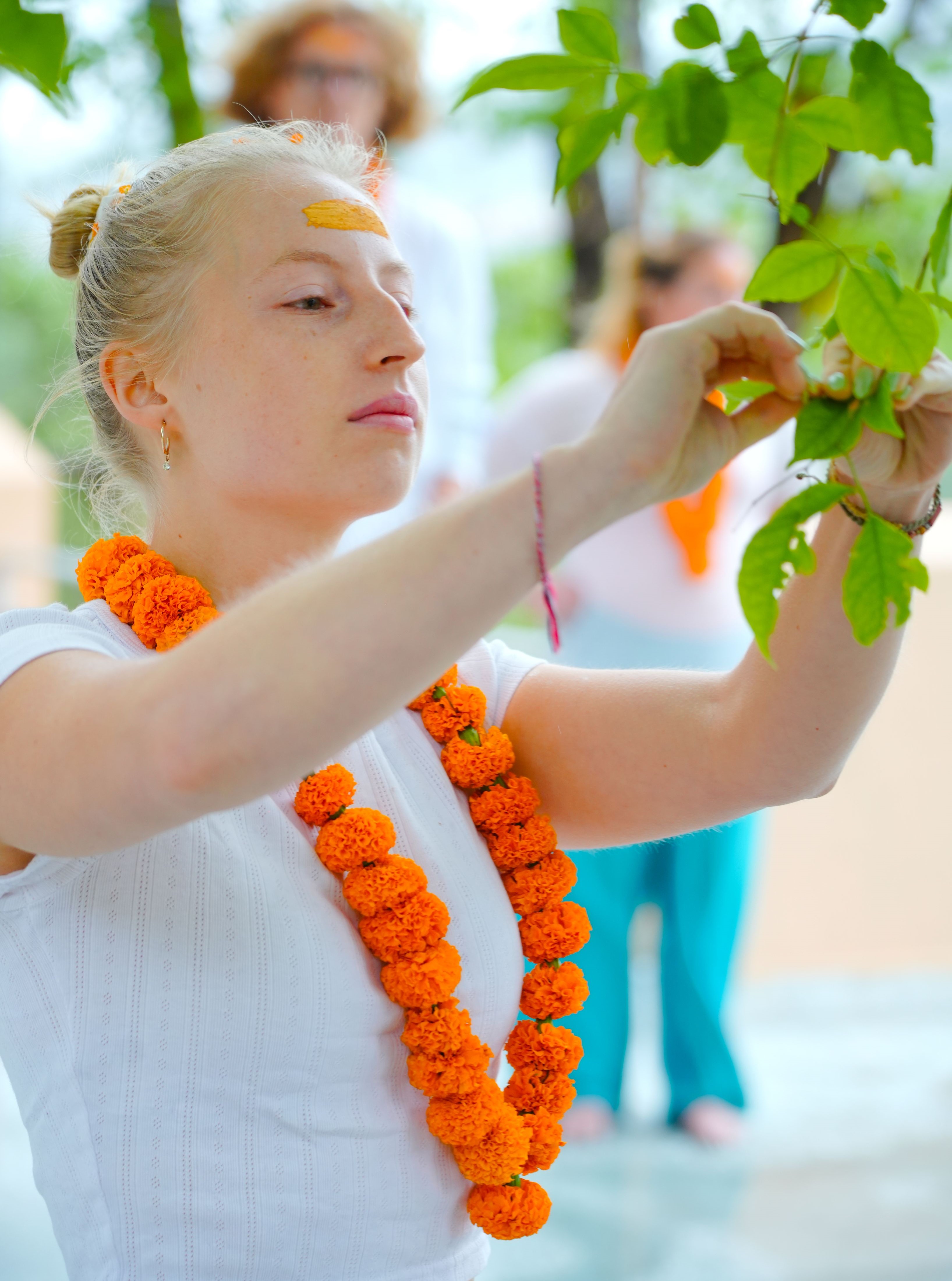 200 Hour Yoga Teacher Training in Rishikesh